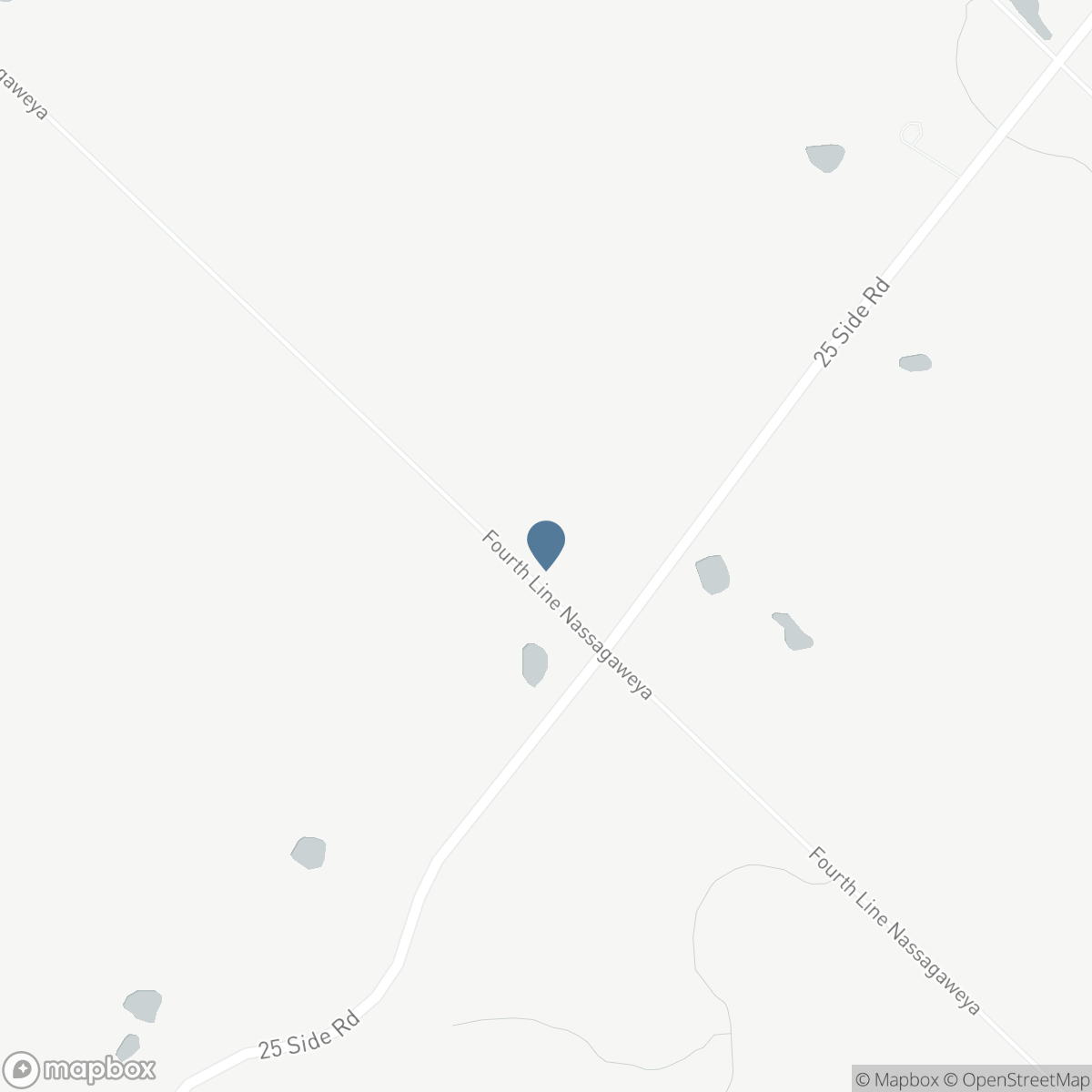 13055 FOURTH LINE Line, Nassagaweya, Ontario N0B 2K0